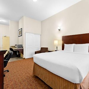 Chambre Accessible aux Personnes à Mobilité Réduite Lit Queen-Size
